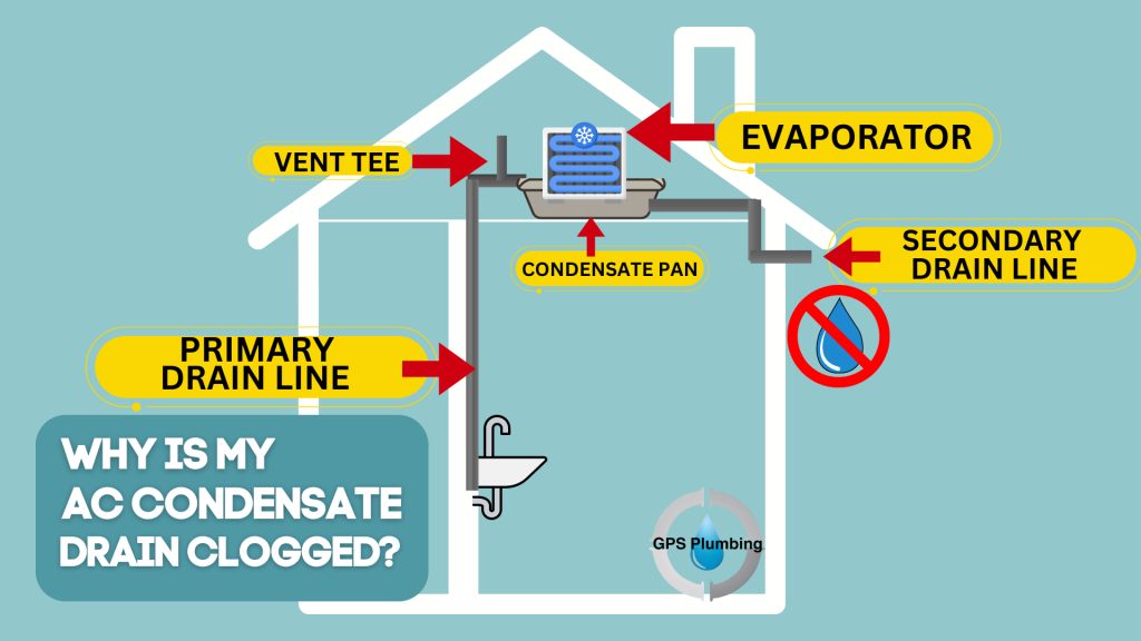 Diagram of a house showing AC condensate drain system with labeled components: primary drain line, vent tee, condensate pan, evaporator, and secondary drain line, illustrating common clog points.