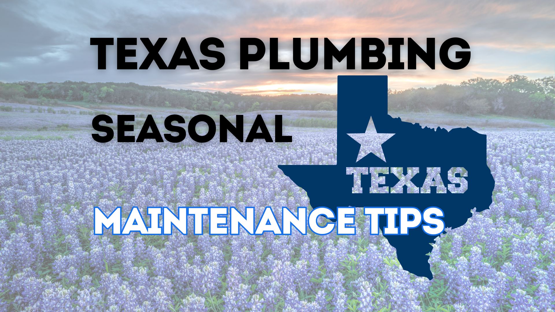 Texas state image with bluebonnets in the background, representing Texas plumbing seasonal maintenance tips