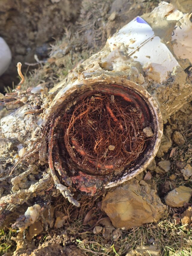 broken sewer line