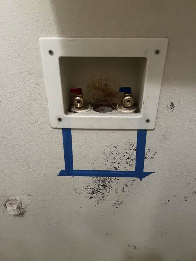 Completed installation of new washing machine shut-off valves