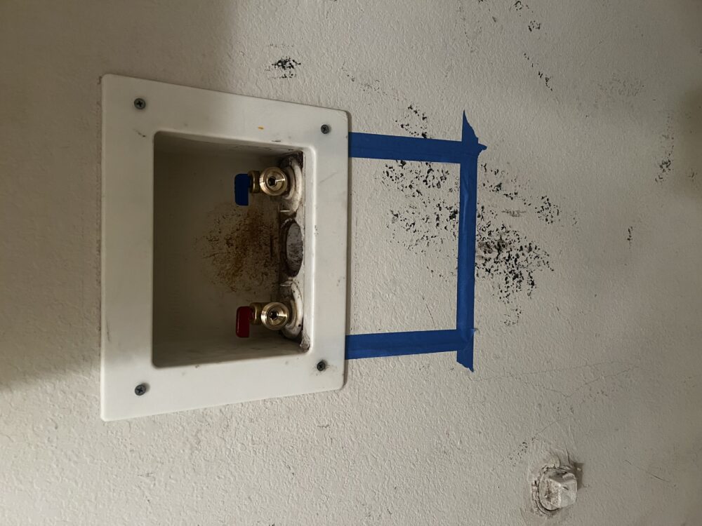 Completed installation of new washing machine shut-off valves