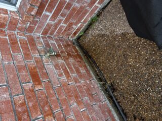Outdoor hose bib leaking water on brick patio during Frisco plumbing repair job