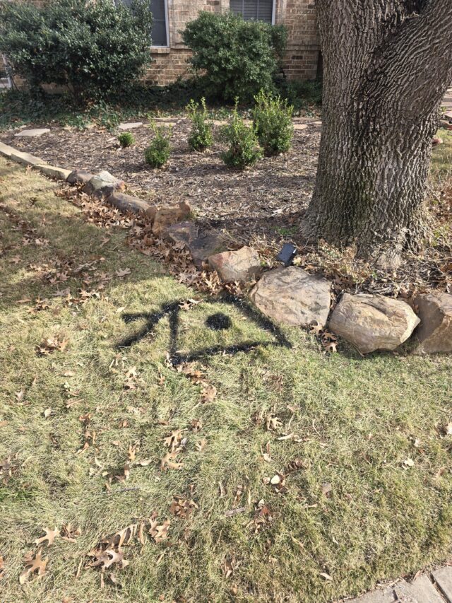 Location of mainline stoppage in yard caused by root intrusion.