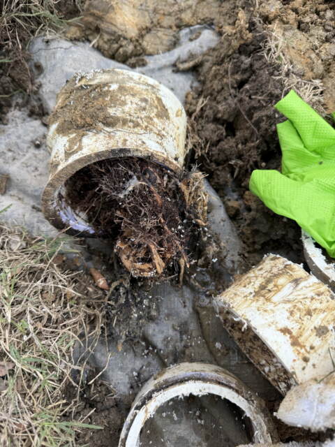 broken sewer