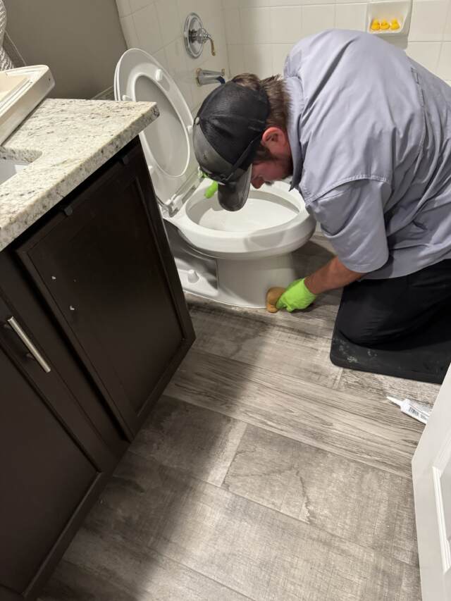 Toilet Flange Replacement